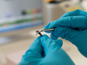Cansford scientists attend prestigious 25th meeting of the Society of Hair Testing (SOHT)